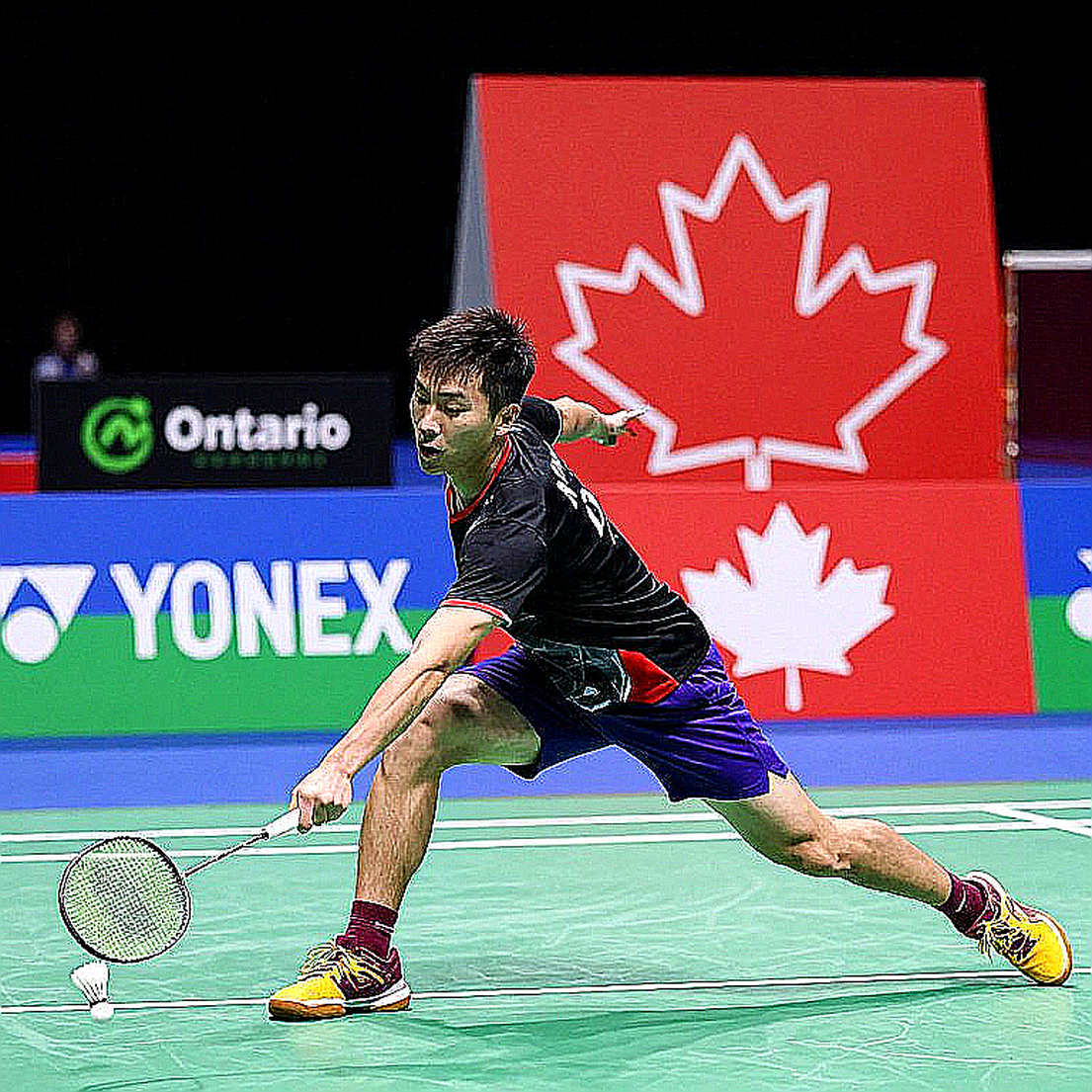 An Se-young's 47th Title and 98.4% Win Rate: The Ankle Crisis Hidden Behind the Numbers An Se-young's 47th Title and 98.4% Win Rate: The Ankle Crisis Hidden Behind the Numbers